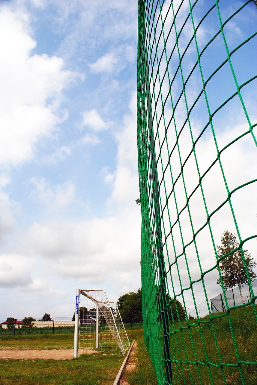 他的领袖能 他的领袖能