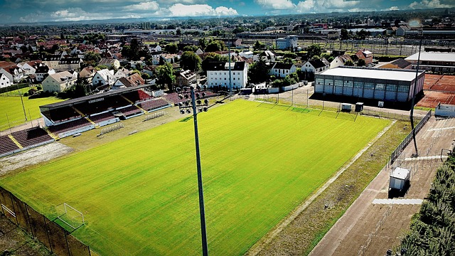 还能组织进 还能组织进