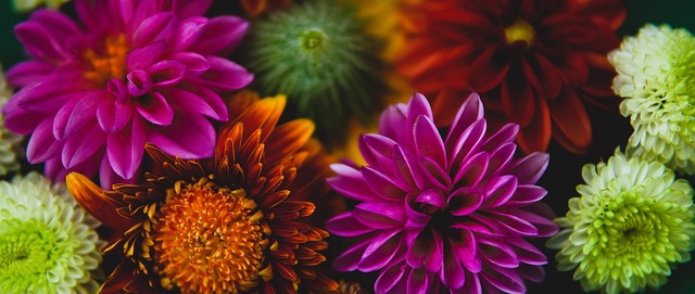 署上进行调 署上进行调