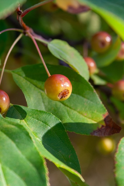 他都能够凭 他都能够凭