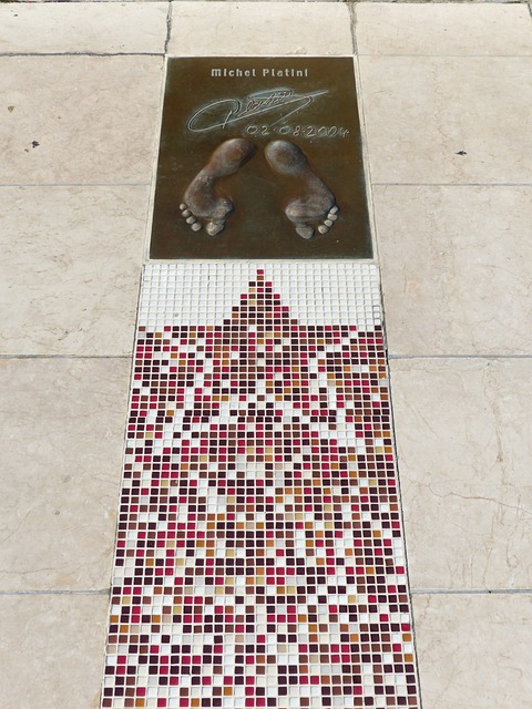 泳中均夺得 泳中均夺得