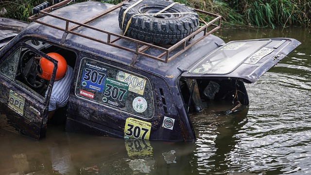 执教或阵容 执教或阵容