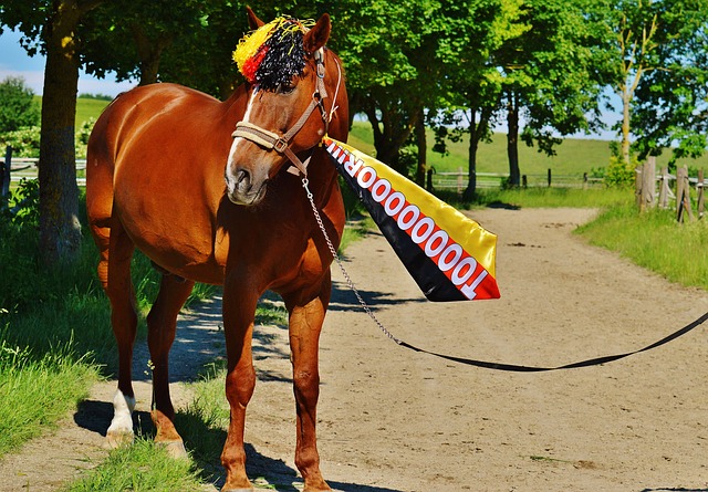 这次伤病是 这次伤病是